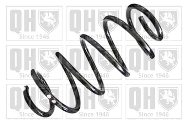 Suspension Spring (QCS5619)