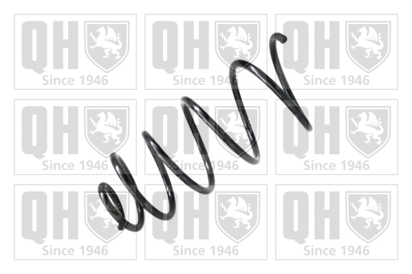 Suspension Spring (QCS7624)