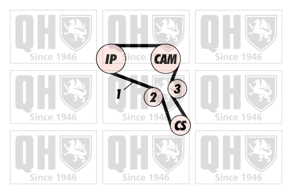 Timing Belt Kit (QBK556)