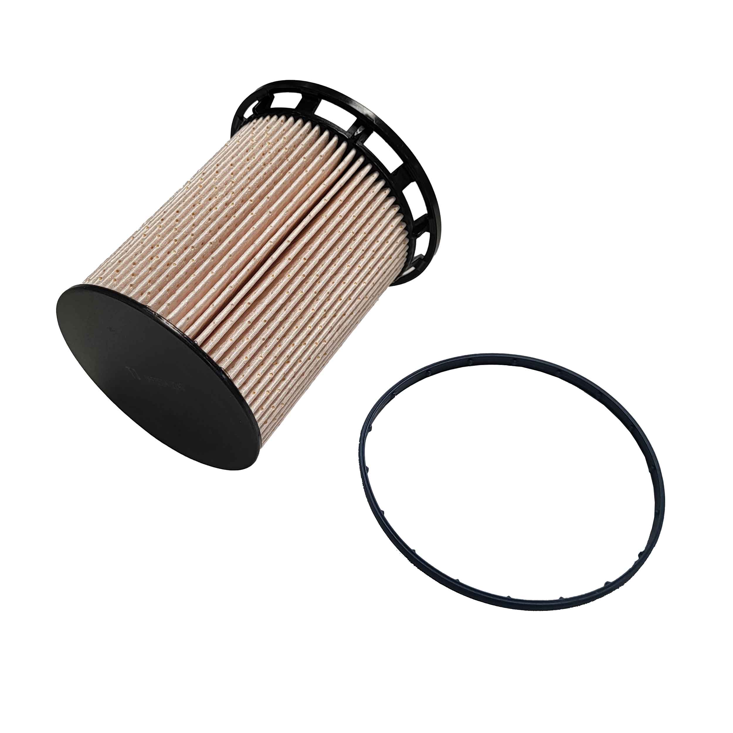 Fuel Filter (QFF0504)