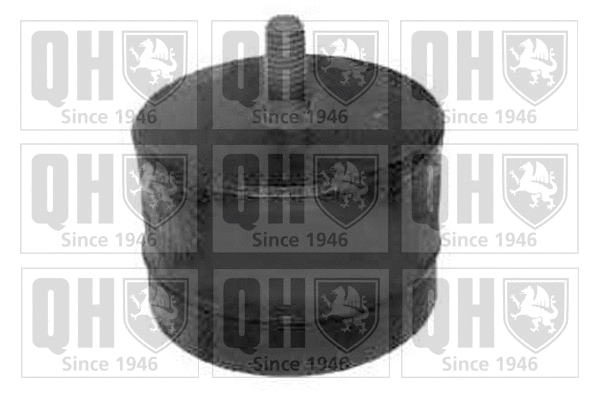 Mounting, engine (EM1534)