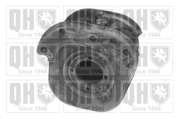 Mounting, control/trailing arm (EMS8023)