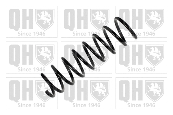 Suspension Spring (QCS6259)