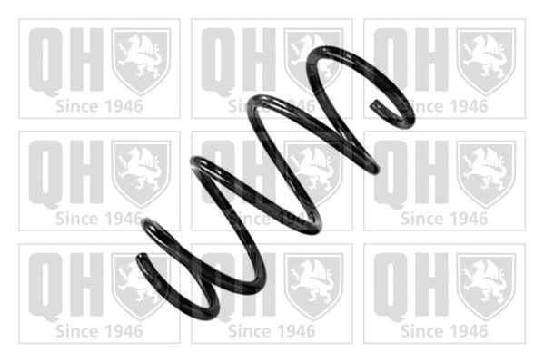 Suspension Spring (QCS9201)