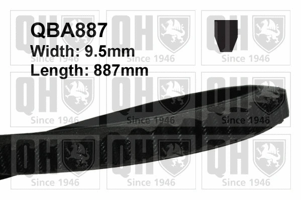 V-Belt (QBA887)