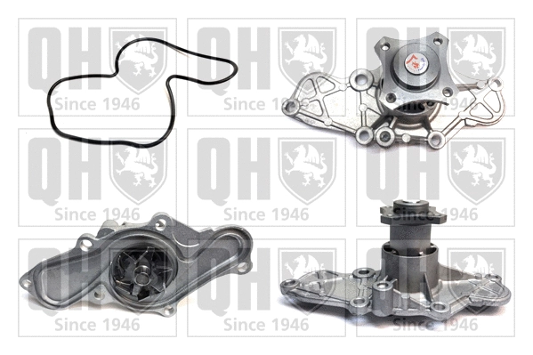 Water Pump, engine cooling (QCP3278)