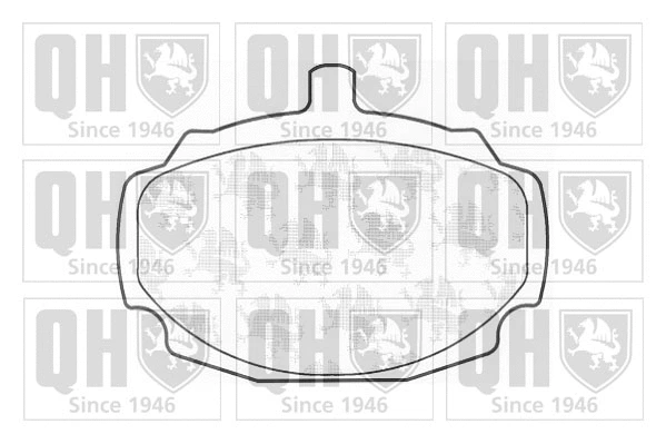 Brake Pad Set, disc brake (BP117)