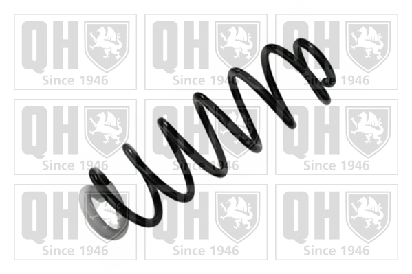 Suspension Spring (QCS8463)