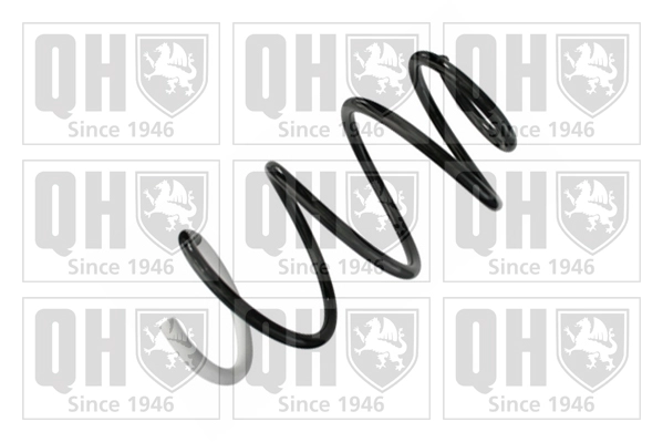 Suspension Spring (QCS8558)