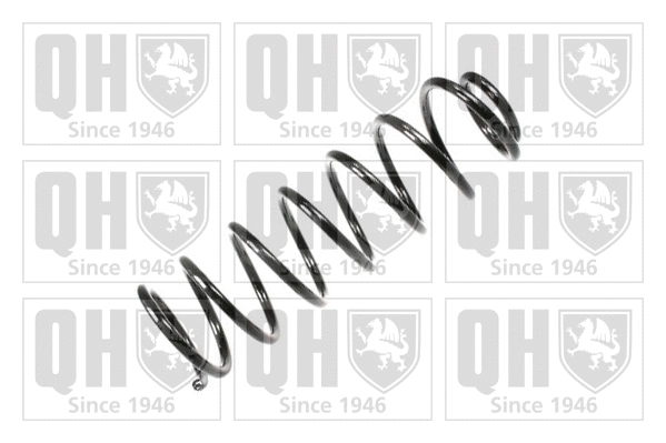 Suspension Spring (QCS7966)