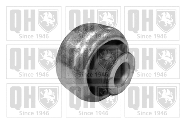 Mounting, control/trailing arm (EMS8270)
