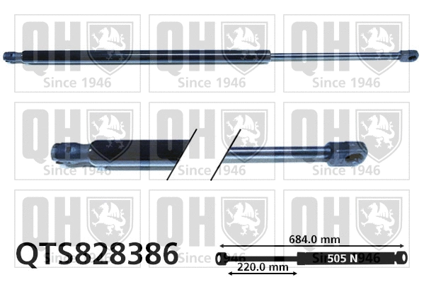 Gas Spring, boot/cargo area (QTS828386)