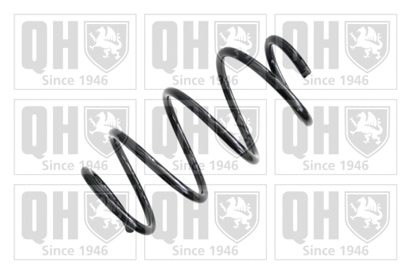 Suspension Spring (QCS7038)