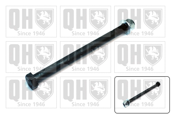 Fastening Bolt, control arm (QSK229S)