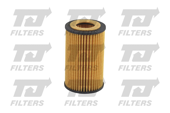 Oil Filter (QFL0127)
