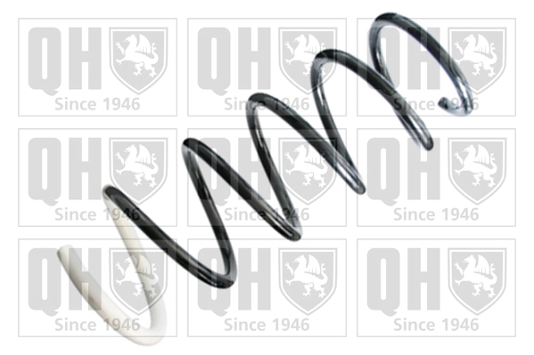 Suspension Spring (QCS8407)