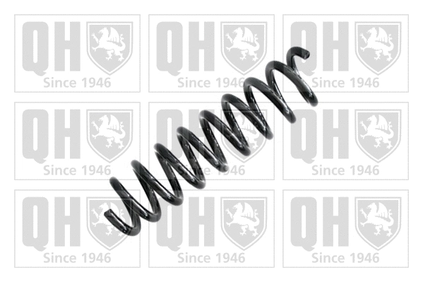 Suspension Spring (QCS7919)