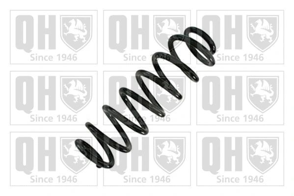 Suspension Spring (QCS9192)