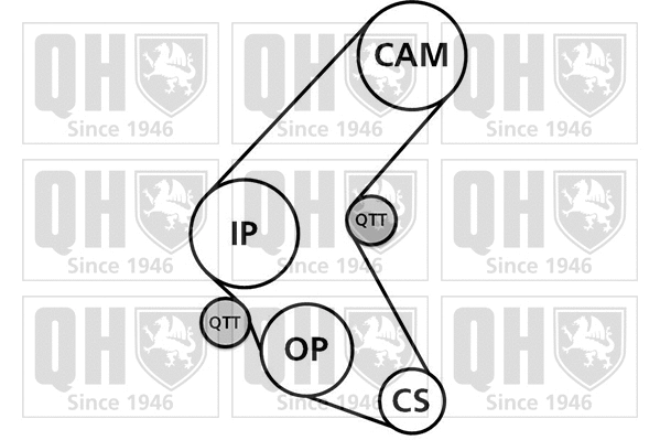 Timing Belt Kit