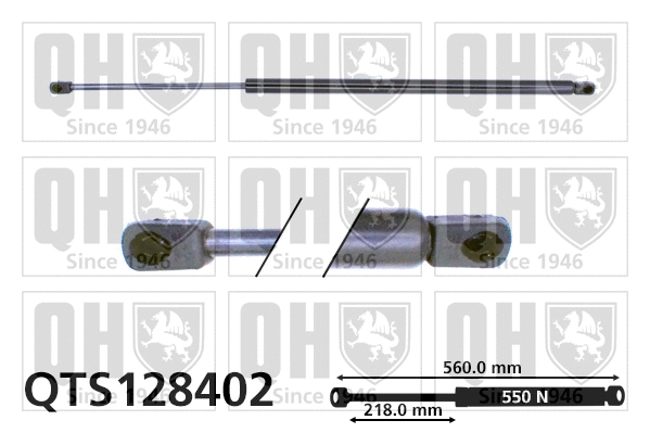 Gas Spring, boot/cargo area (QTS128402)