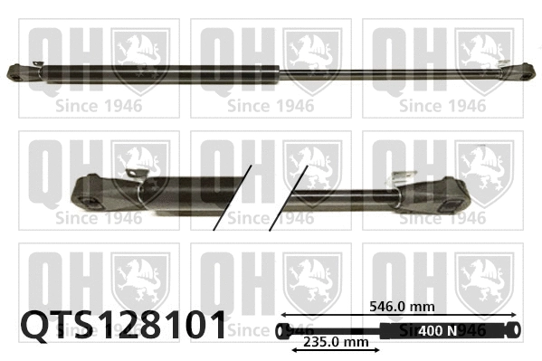 Gas Spring, boot/cargo area (QTS128101)