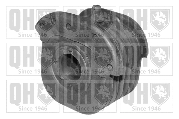 Mounting, control/trailing arm (EMS8024)