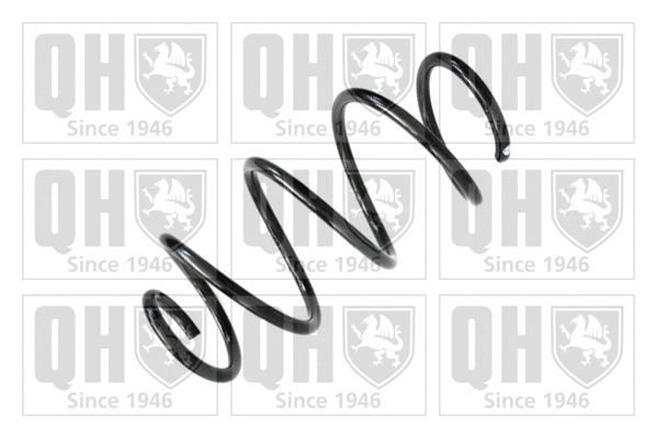 Suspension Spring (QCS6691)