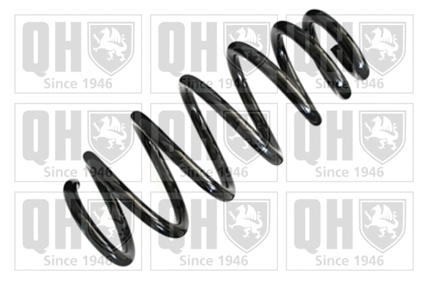 Suspension Spring (QCS6493)