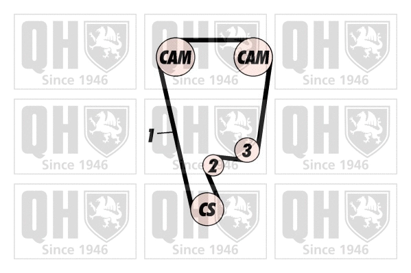 Timing Belt Kit (QBK391)