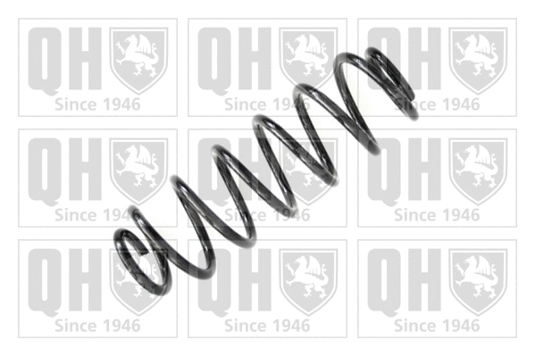 Suspension Spring (QCS7577)