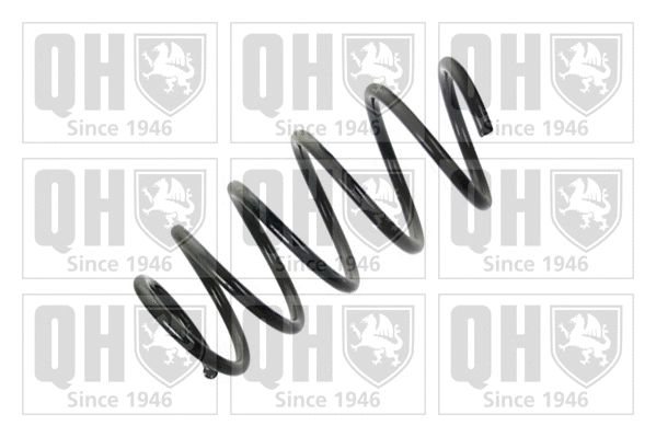 Suspension Spring (QCS6553)