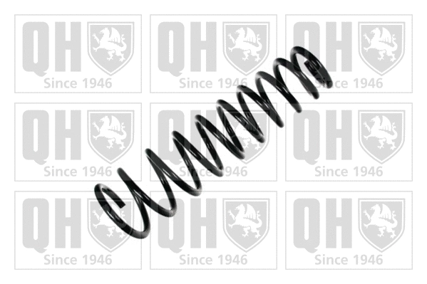 Suspension Spring (QCS6872)