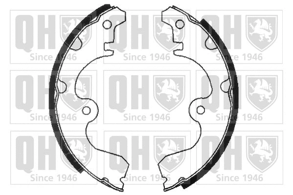 Brake Shoe Set (BS880)