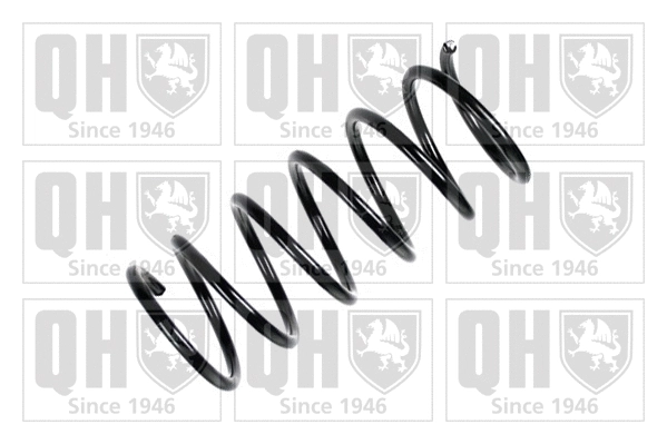 Suspension Spring (QCS8180)