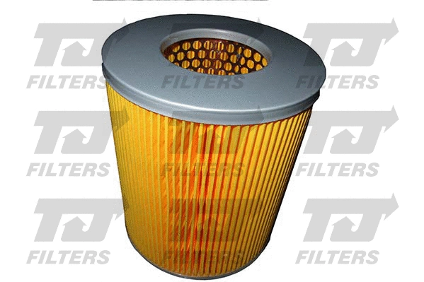 Air Filter (QFA0409)