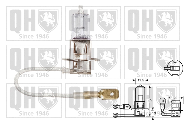 Bulb (QBL453)
