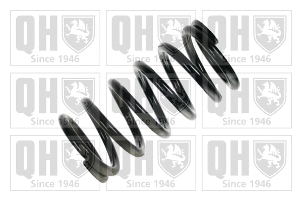 Suspension Spring (QCS5964)