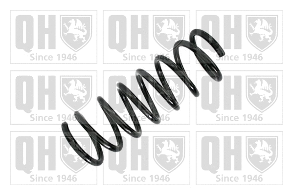 Suspension Spring (QCS5284)