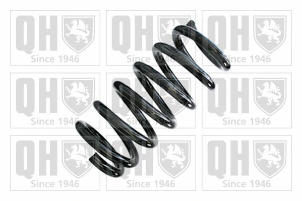 Suspension Spring (QCS8942)