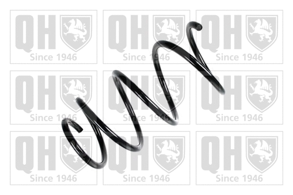 Suspension Spring (QCS6835)