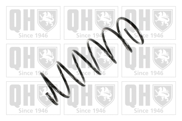 Suspension Spring (QCS6767)
