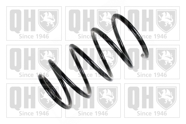 Suspension Spring (QCS6884)