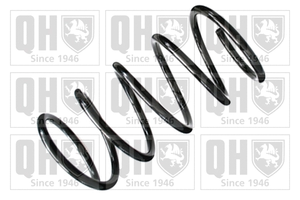 Suspension Spring (QCS7384)