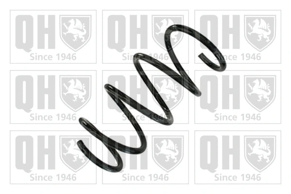 Suspension Spring (QCS9170)