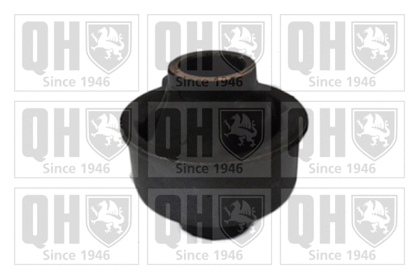 Mounting, control/trailing arm (EMS8432)