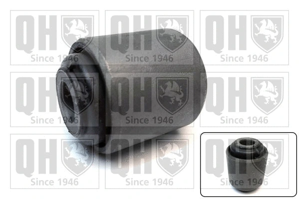 Mounting, control/trailing arm (EMS3030)