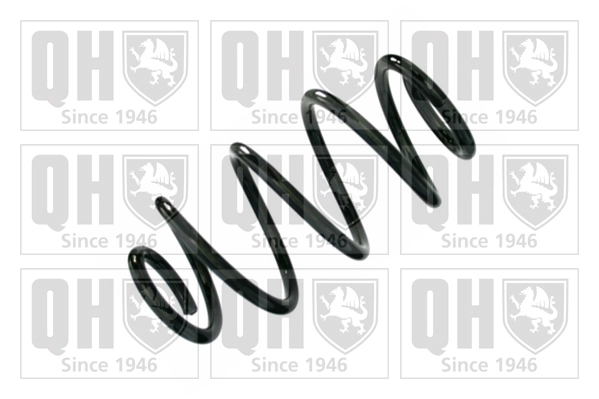 Suspension Spring (QCS8648)