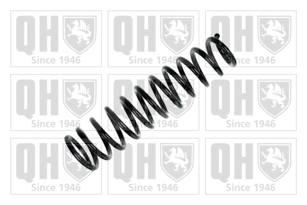 Suspension Spring (QCS6367)