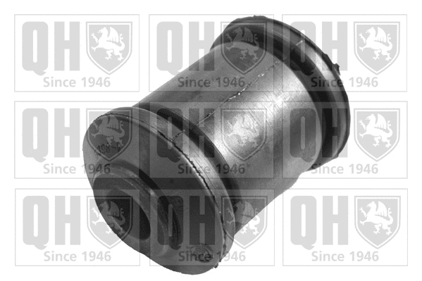 Mounting, control/trailing arm (EMS8089)