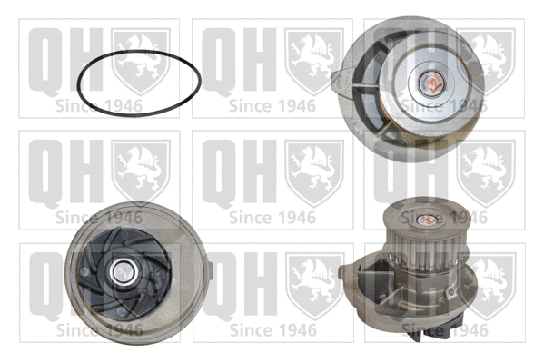 Water Pump, engine cooling (QCP3059)